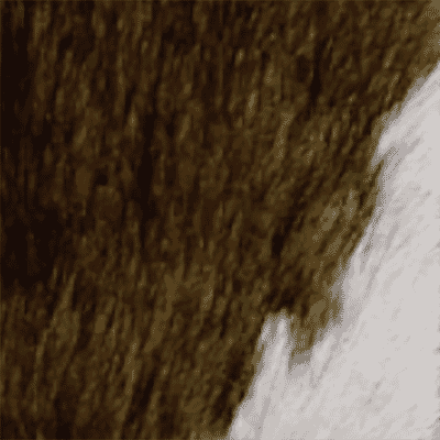 Black Brown And White Pony Hide