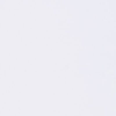 European Beech Painted White