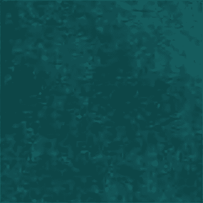 Turquise Velvet F