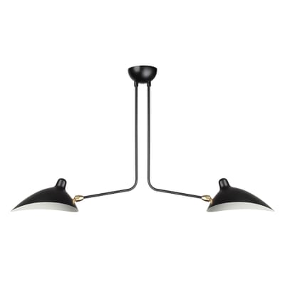 2 Arm Ceiling Lamp