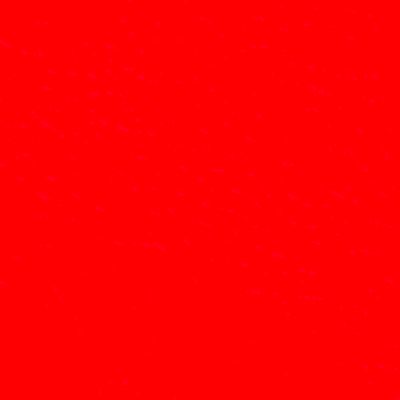Red Leather SML SL