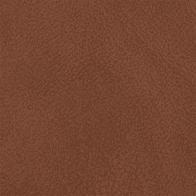 Tan Leather SML SL