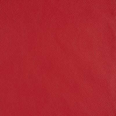Red Deluxe Leather YY B